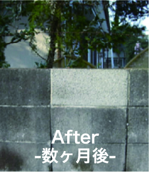 After-数ヶ月後-