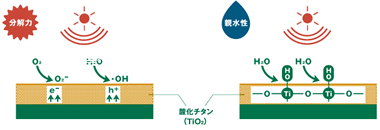 分解力・耐水性