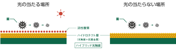 光の当たる場所 光の当たらない場所